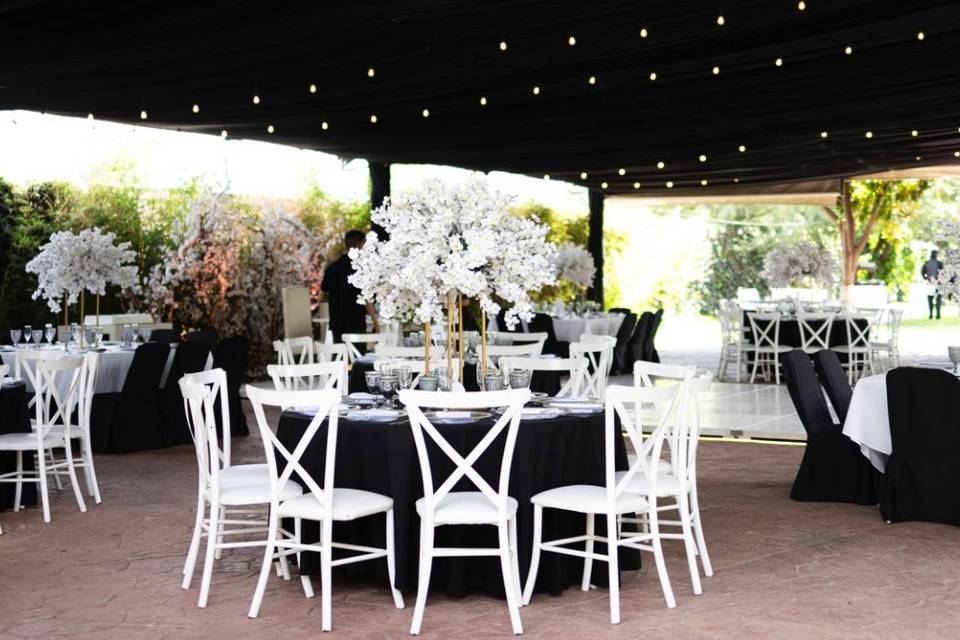 Bodas