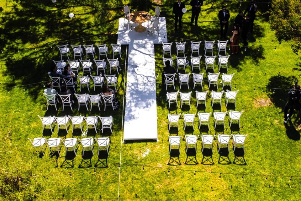 Bodas
