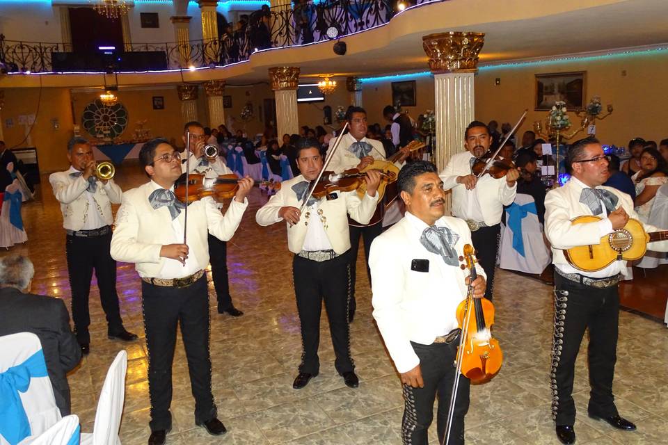 Mariachis