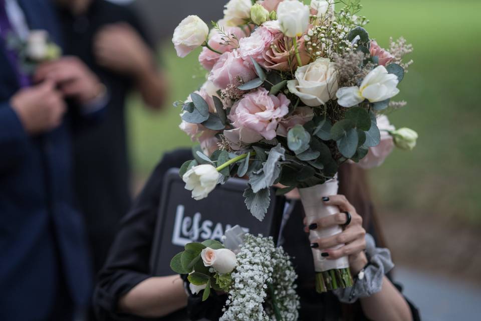 Guadalajara, Jalisco - Y&J