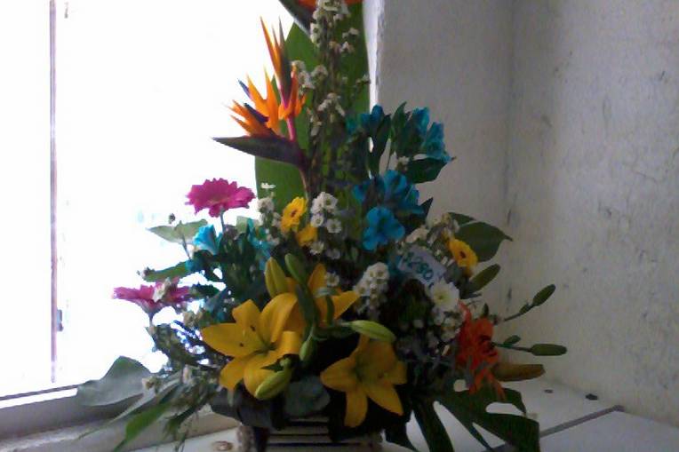 Flores frescas