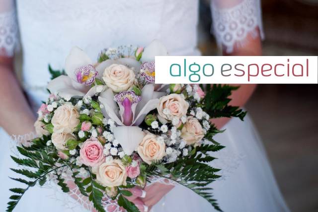 Elegantes y atemporales