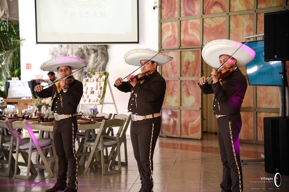 Mariachis