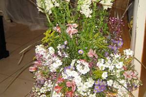 Carmen Flor y Plantas