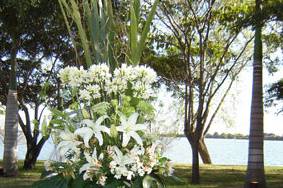 Carmen Flor y Plantas