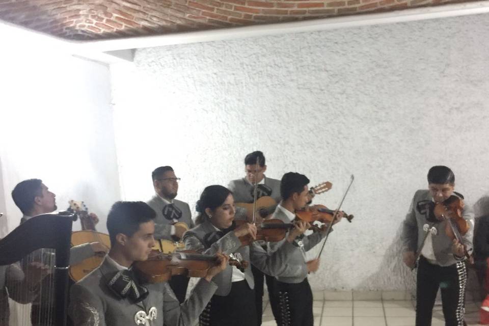 Mariachi