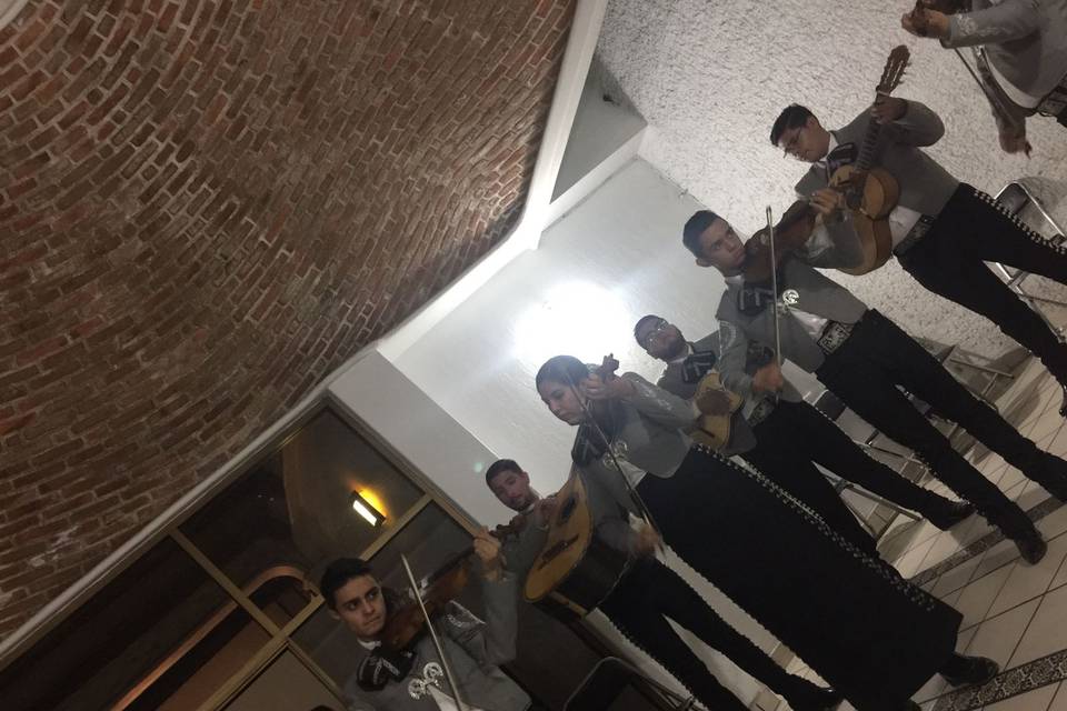 Terrazas La Paz