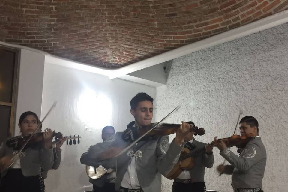 Terrazas La Paz