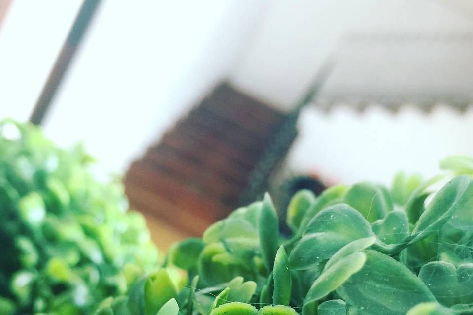 Decoración verde