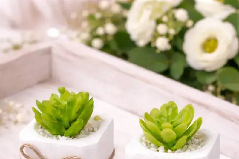 Bodas