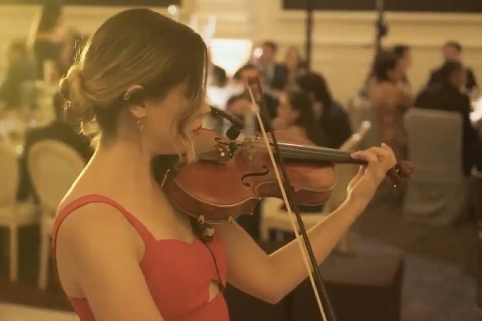 Musa Violín Solo