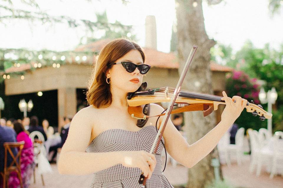 Musa Violín Solo