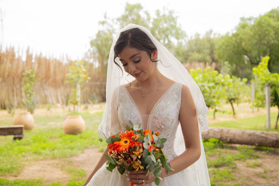 Boda Alex & Rocio
