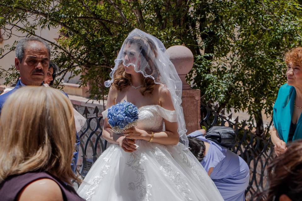 Novia