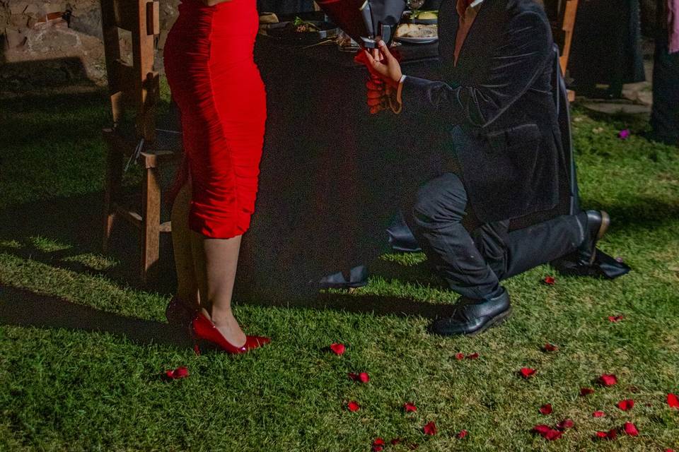 Quieres ser mi esposa?