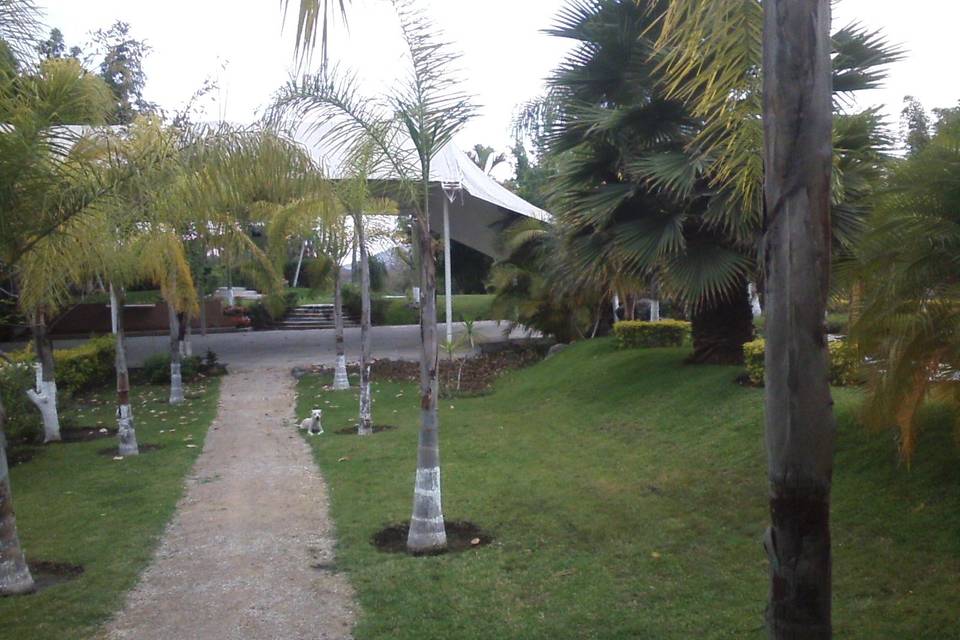 Jardín