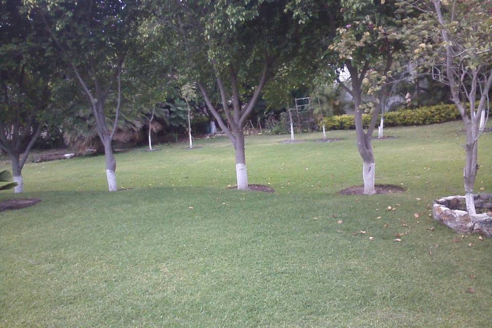 Jardín