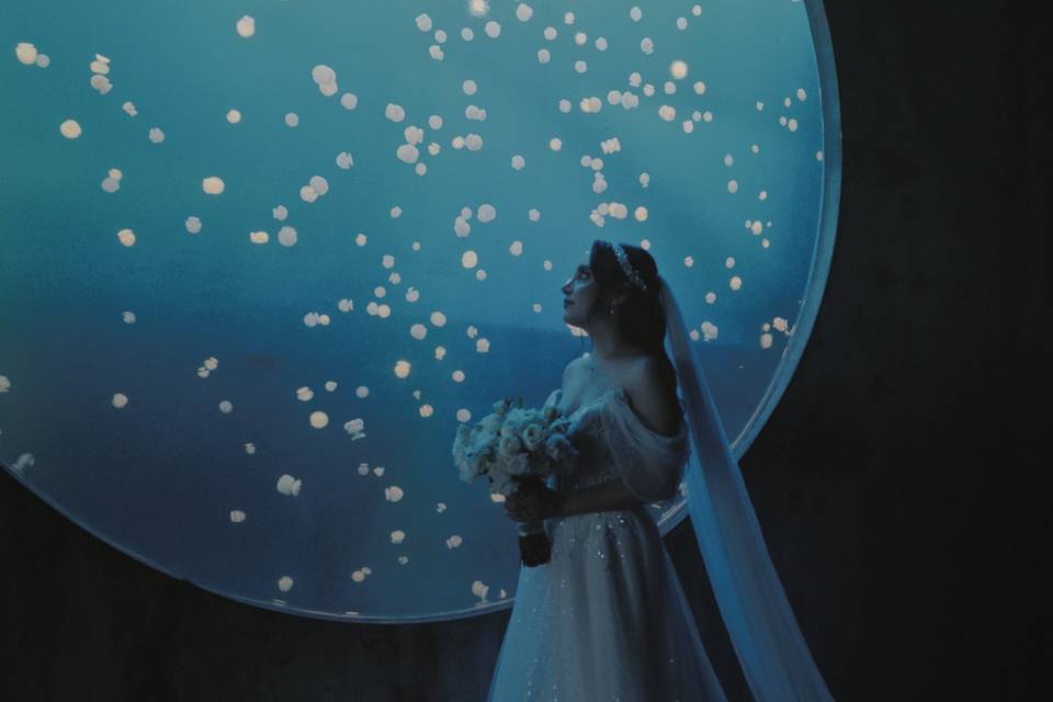 Aquarium Bride