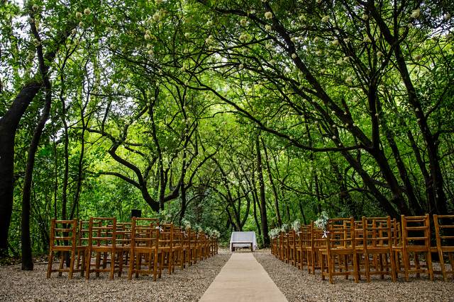 Bosque