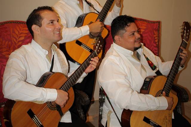 Músicos para eventos