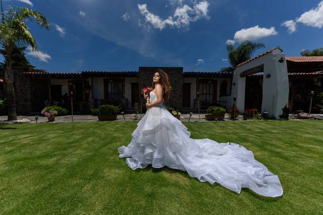 Novias Elegantes