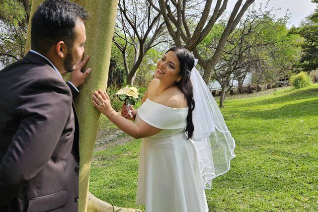 Bodas