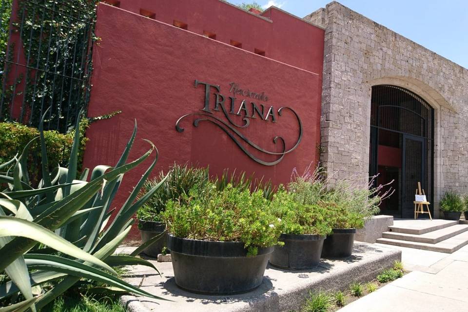 Eventos Triana