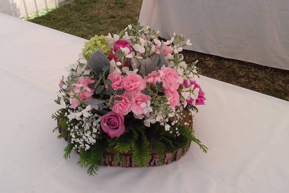 Tonos rosas