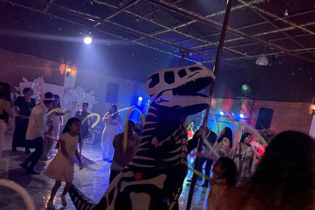 Djavu Music Show