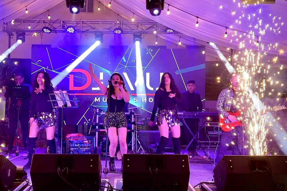 Djavu Music Show