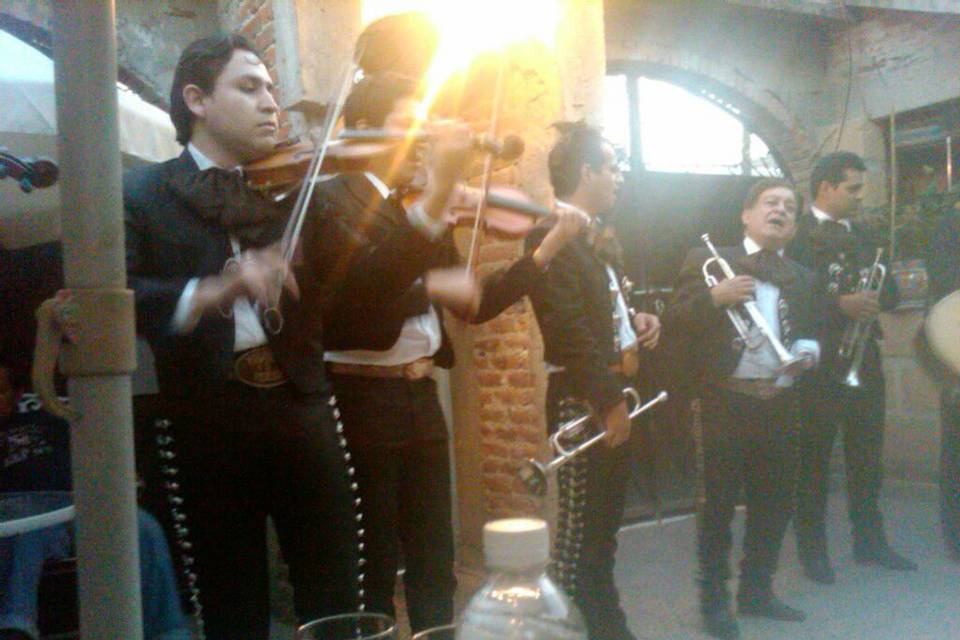 Mariachi halcones