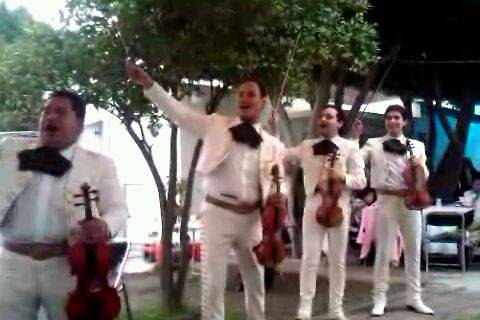 Ideal para la boda