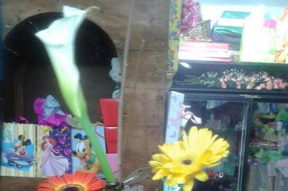 Alcatraz con 2 gerberas