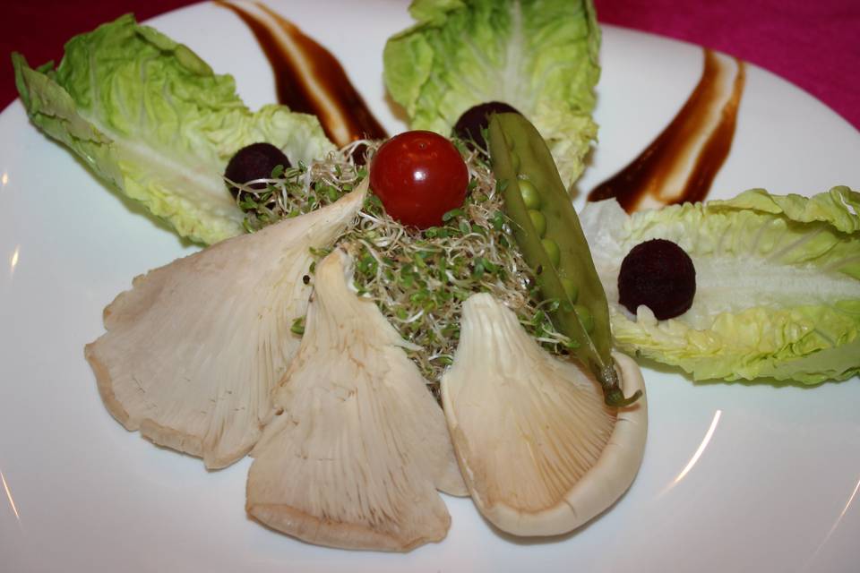 Frescas ensaladas