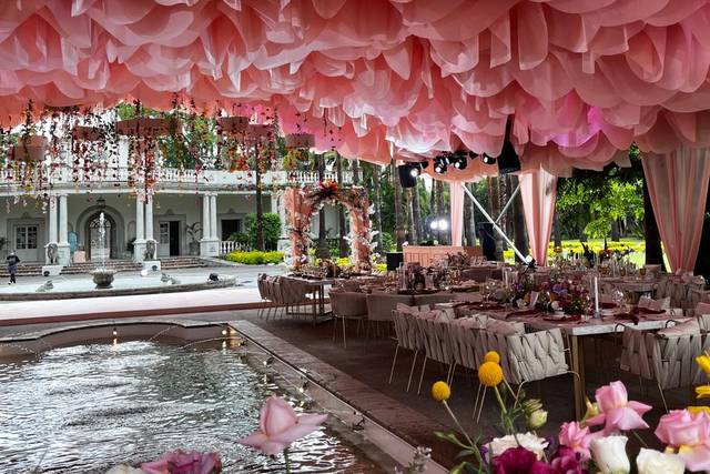 Boda WP: Manuel Alfaro