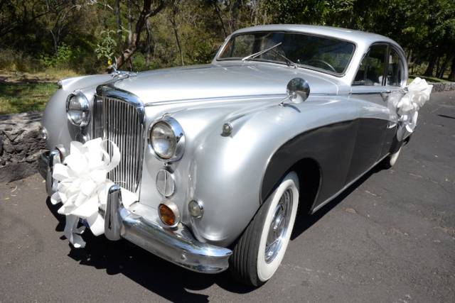 Jaguar plata