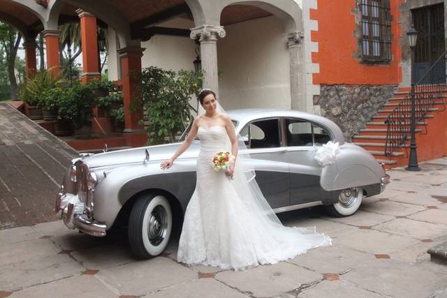 Jaguar plata 1