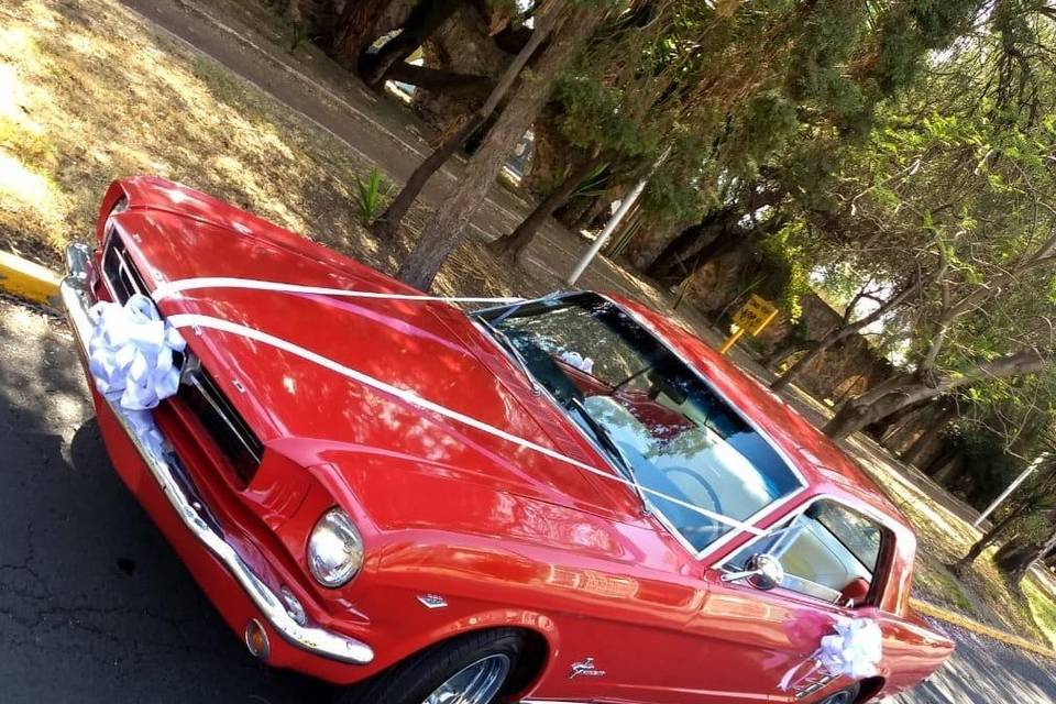 Mustang