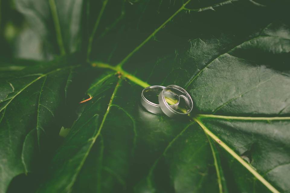Anillos