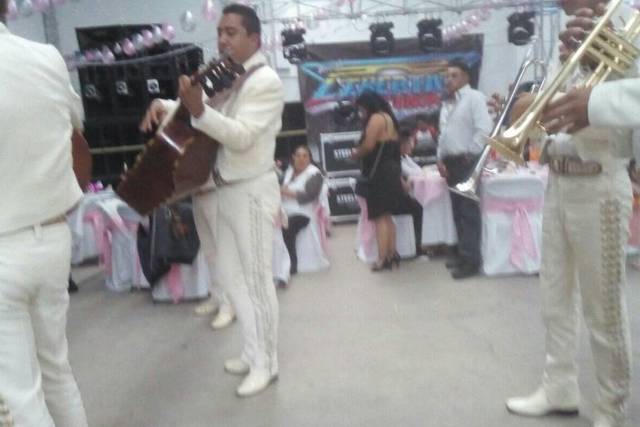 Mariachi Real de Veracruz