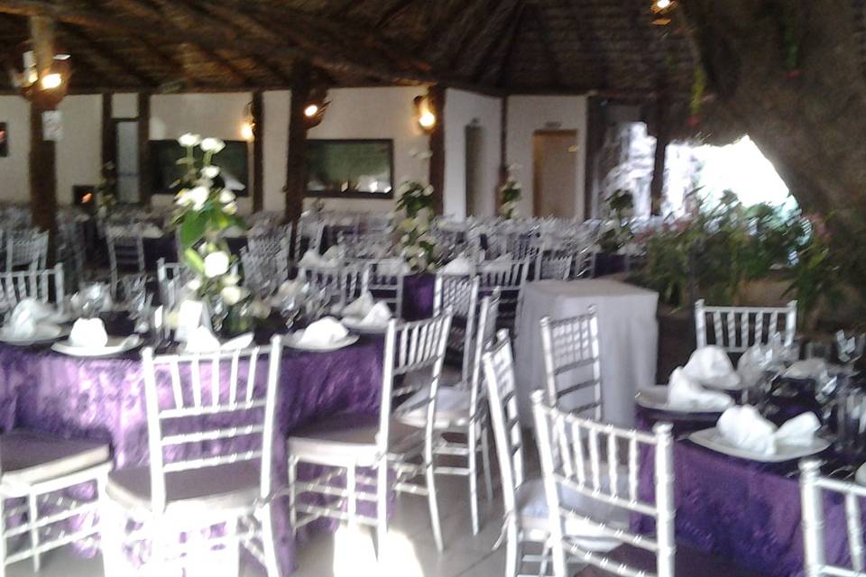 Boda oasis