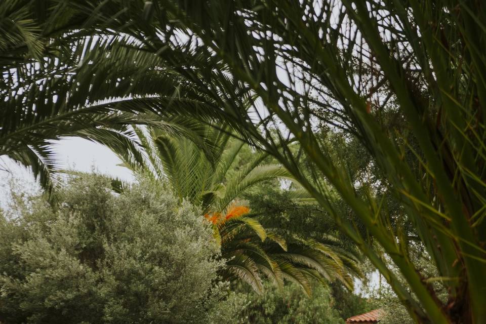 Jardines
