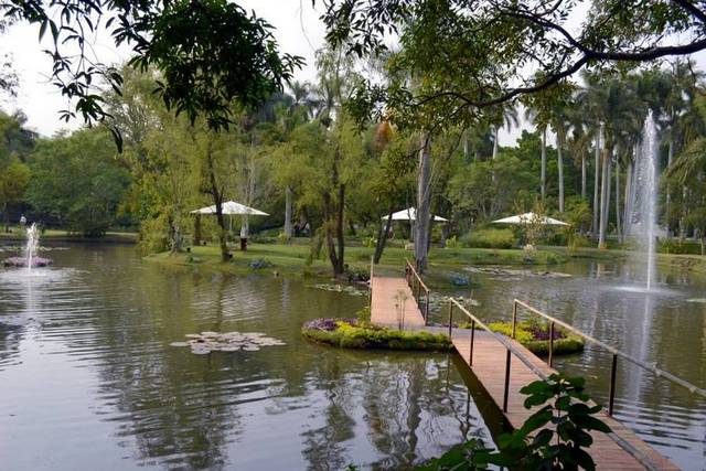 Vista lago