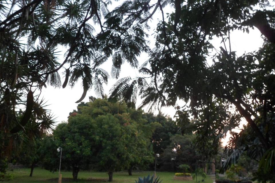 Vista de jardín