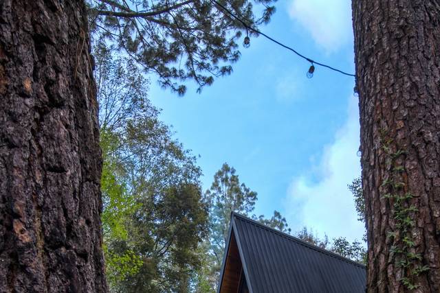 Cabaña entre árboles
