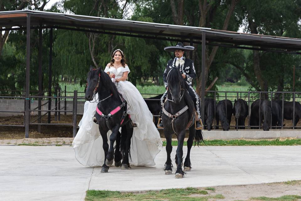 Mireya + Daniel