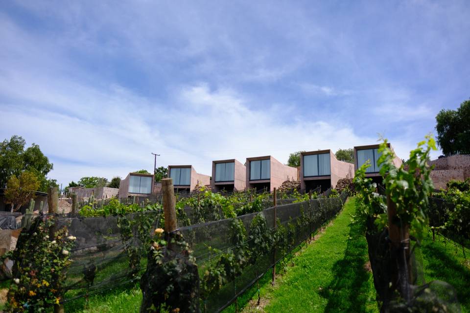 Hotelde viñedos