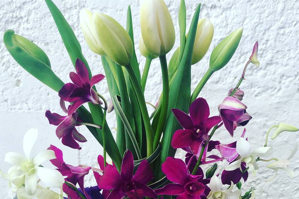 Tulipanes y orquídeas
