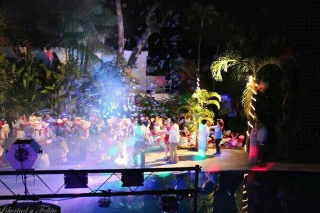 Ideal para alegrar tu evento