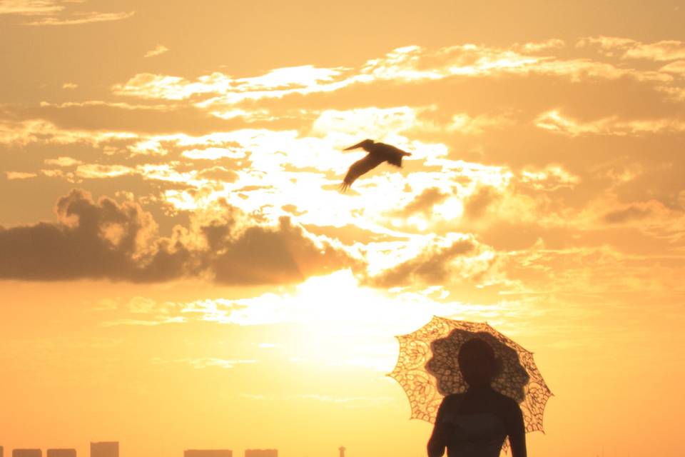 Volando al atardecer